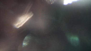 Çevredeki gökkuşağı mercekleri parlıyor. Sürrealist ışık başkalaşımları. Işıklar kaotik bir şekilde atıyor.. 