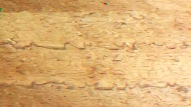 Canlı parazit taklit yanıp sönen fütürist gürültülü arkaplan. 