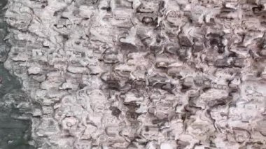 Psikedelik soyut arkaplan, bozuk beton yüzey dokusu. 