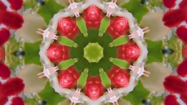 Mnohobarevný květinový kaleidoskop, futuristická psychedelická textura z kytice květin. — Stock video