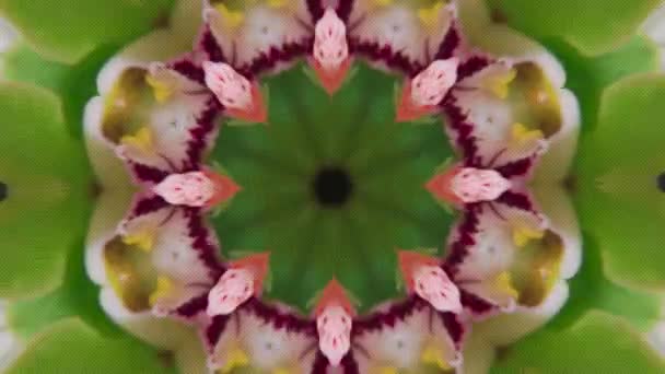 Floral multi-colored shimmering sci-fi kaleidoscope background. — Stock Video