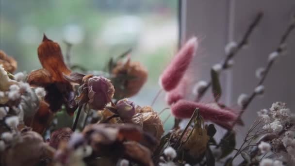 Minimalistisch boeket van gedroogde bloemen in cilindrische doos als huisdecoratie. — Stockvideo