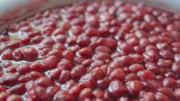 Η διαδικασία παρασκευής σπιτικής μαρμελάδας φράουλας σε φούρνο γκαζιού. — Αρχείο Βίντεο