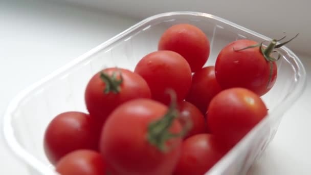 Małe organiczne pomidory koktajlowe lub pomidory wiśniowe w przezroczystym plastikowym pudełku. — Wideo stockowe
