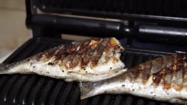 Bir porsiyon dorada, Sparus balığımız yemeye hazır..