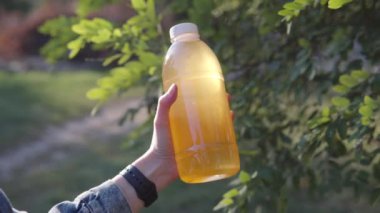 Kokulu akasya balı, bir arı yetiştiricisinin elinde bir akasya ağacının arka planında..