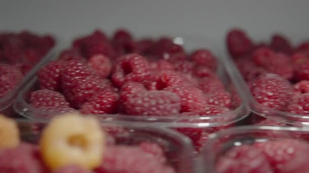 Very close-up of raspberry in plastic box inside the refrigerator of a local supermarket. — Stok Video