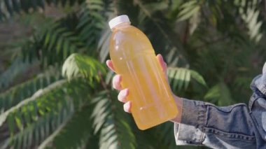 Yüksek kaliteli arıcılık ürünü, bir şişe taze akasya balı..