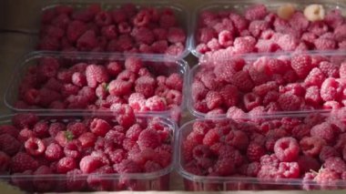 Güneş ışınları olgun sulu ahududu böğürtlenlerinin üzerine dökülür şeffaf kutularda. 