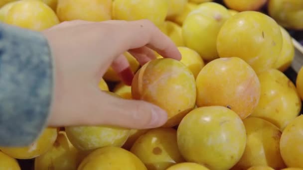 Frau wählt reife gelbe Pflaumen in Lebensmittelabteilung des Supermarktes. — Stockvideo