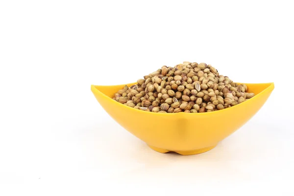 Coriander seeds in a yellow melamine bowl isolated on white background — Stock Photo, Image