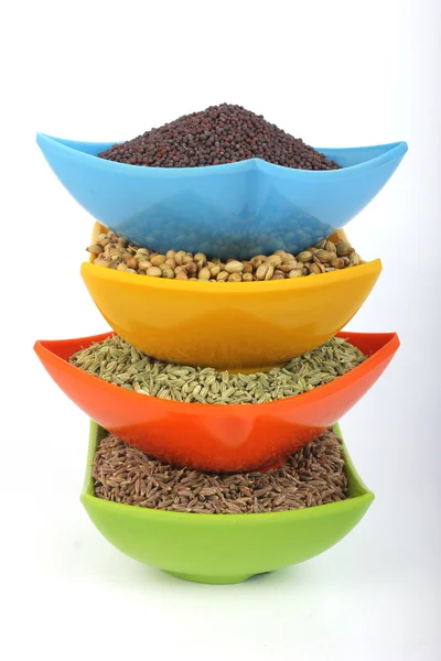 Especiarias indianas cominho, coentro, erva-doce e sementes de mostarda preta com pimenta vermelha no branco na tigela de melamina — Fotografia de Stock