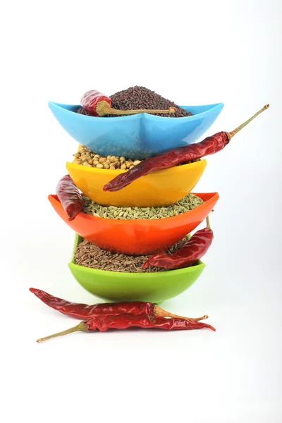 Especiarias indianas cominho, coentro, erva-doce e sementes de mostarda preta com pimenta vermelha no branco na tigela de melamina — Fotografia de Stock