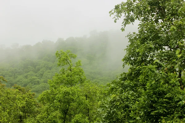 Wolken mit Berg und Baum — Stockfoto