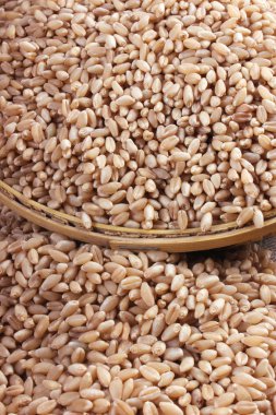 taneleri buğday yakın çekim