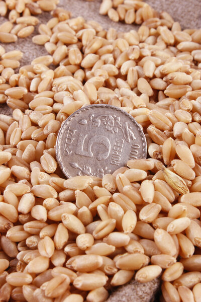 Индийская монета 5 (пять) рупий с зерном пшеницы
