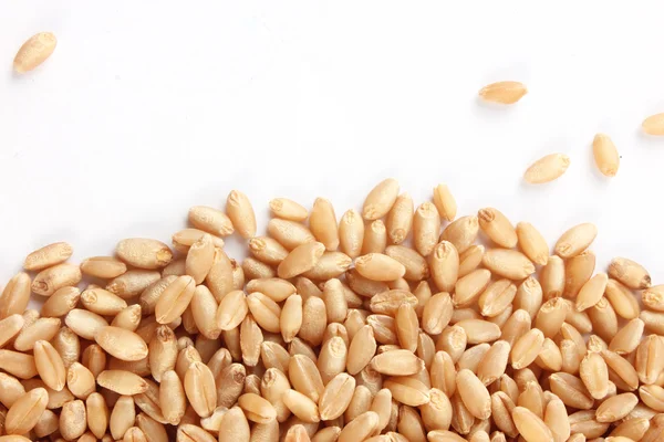 Grains of wheat close-up — Stock Photo, Image