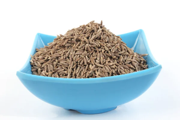 Cumin Seed in melamine bowl. ingredient food. — Stock Photo, Image