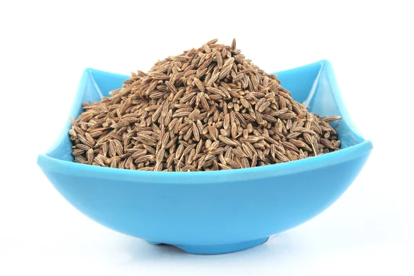 Cumin Seed in melamine bowl. ingredient food. — Stock Photo, Image