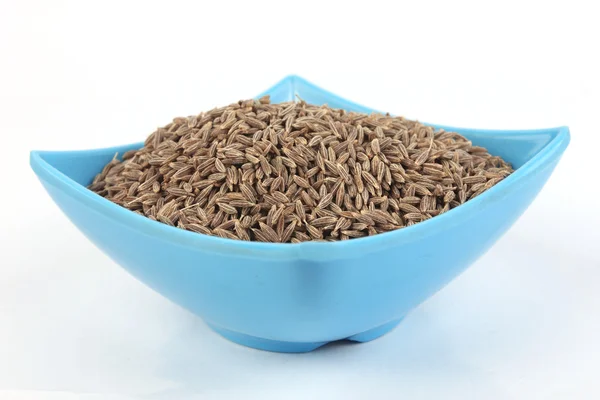 Cumin Seed in melamine bowl. ingredient food. — Stock Photo, Image