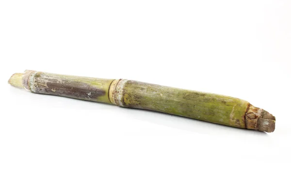 Sugar cane isolated on white background — Stock Photo, Image
