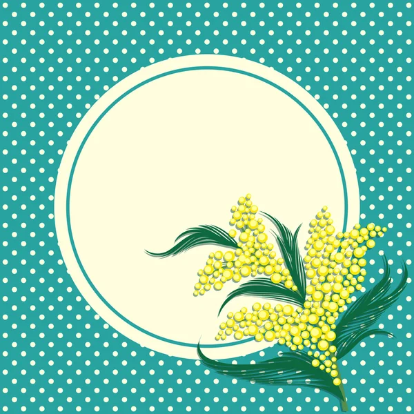 Fleurs de mimosa avec cadre circulaire — Image vectorielle