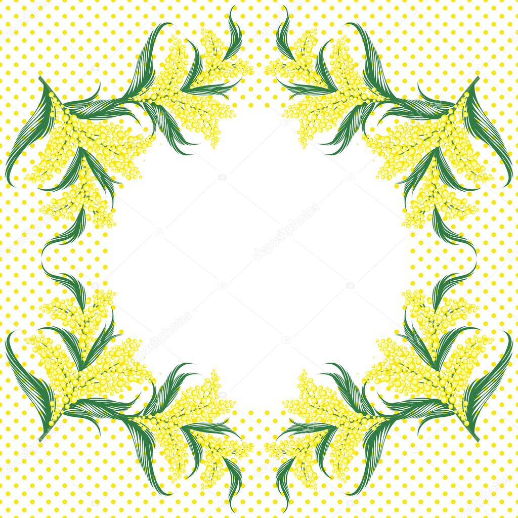 Mimosa flowers frame and dotted background