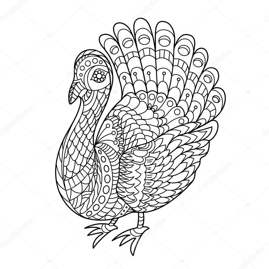Turkey bird coloring pages for children. Creative cute bird for coloring book design. Thanksgiving turkey greeting card. Black and white vector illustration.