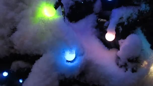 Illumination de Noël — Video