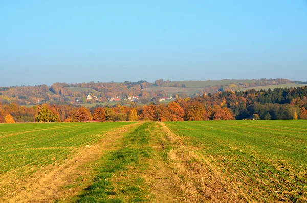 Autumn landscape in Czech Republic with path between field — Stock Photo, Image