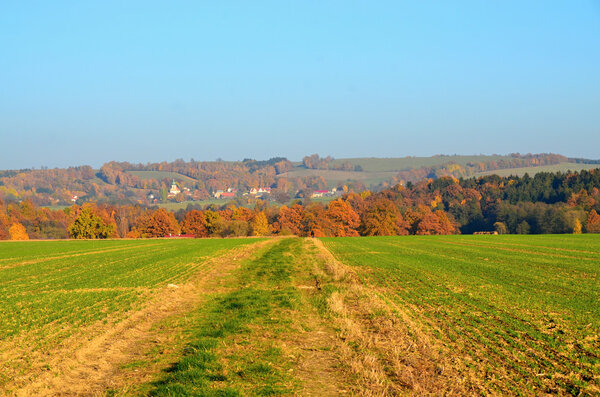 Autumn landscape in Czech Republic with path between field