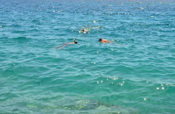 Snorkeling People Adriatic Sea — Stock Photo, Image
