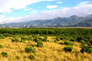 Hırvat manzara - Velebit Dağları-Hırvatistan