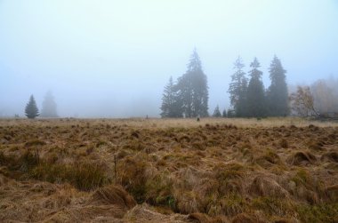 Kladska Çek Cumhuriyeti'nde sonbahar manzara