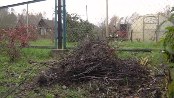 Hand probeert om de verzamelde droge takken en gras ontsteken op een perceel land, maar de vlam gaat uit. Vuilnisophaling voor de winter. Concept van een actieve levensstijl. Landbouwsector — Stockvideo