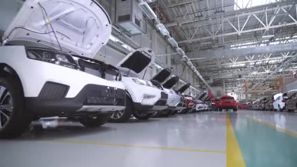 Fila di autovetture nuove brillanti in fabbrica pronta esportazione o importazione via mare. Molti simili nuove auto lucide moderne in piedi in mostra in fila per la vendita su senza persone. Lavoratori e automobili 4k — Video Stock