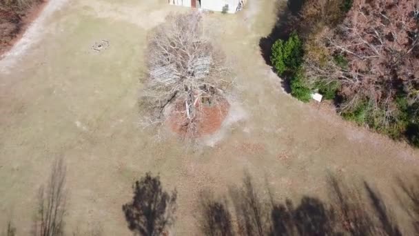 Drone Slow motion un hermoso lugar para una boda bajo un árbol con filas blancas de sillas y una iglesia solitaria. de una Pareja de Bodas bajo Árboles, rodeada de Flores y Hierba. Disparo aéreo — Vídeo de stock