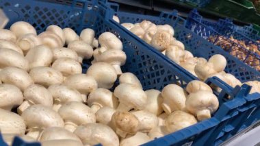 Close up female hand takinf mushrooms on the counter of a grocery store counter in a blue basket. Customer choosing fresh farm vegetables. Veggy healthy lifestyle. Organic food. Season sal 4k