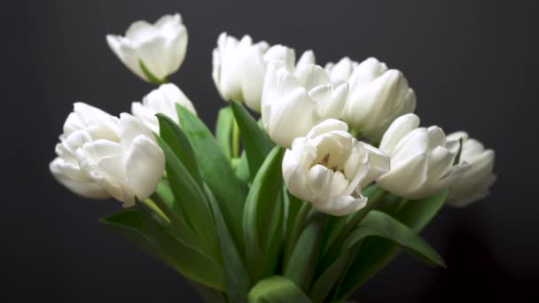 Uitzicht Elegante Witte Tulpen Zwarte Achtergrond Witte Bloemen Close Macro — Stockvideo