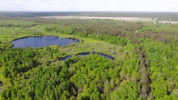 Woda w leśnym jeziorze z sosnami. Widok z lotu ptaka na błękitne jezioro i zielone lasy. Widok na jezioro w pobliżu miasta i budynków mieszkalnych. Nad krystalicznie czystą wodą. Świeża woda — Wideo stockowe