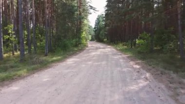 AERİAL görünümü ağaçlar arasında kirli yol boyunca ilerler. Etrafınızda çam ve huş ağaçlarıyla dolu sık bir orman ve lastik izleri olan yollar görebilirsiniz. Kurak mevsimde büyük bir ormanın ortasında çakıl patikası.