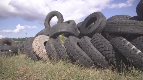 旧车胎堆积如山.一堆旧轮胎的垃圾堆。笨重的黑轮生态危害.在森林里非法倾倒轮胎。环境灾难概念。生态、废物处理4k — 图库视频影像