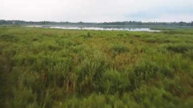 Hava aracının çektiği manzara çok güzel. Orman ormanı ve sakin göl. Su yüzeyinde yansıyan şişman beyaz bulutlar. Suyun yakınındaki yoğun bitki örtüsü. Yazın yaklaşım çekimi. Video Görüntüsü