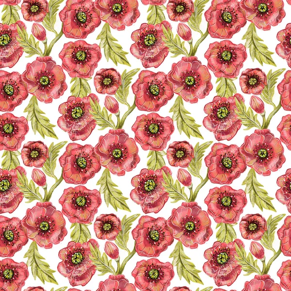 흰색 바탕에 빨간 양 귀 비 꽃으로 완벽 한 패턴 — 스톡 사진