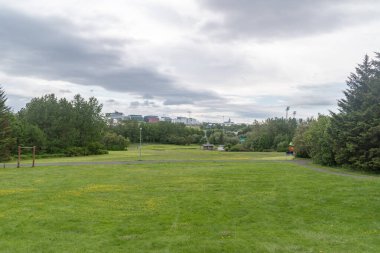 Bulutlu bir günde İzlanda, Reykjavik 'te park.