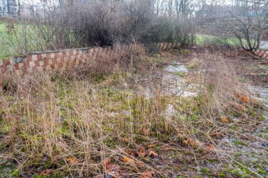 Polonya 'da çürümüş boş havuz.