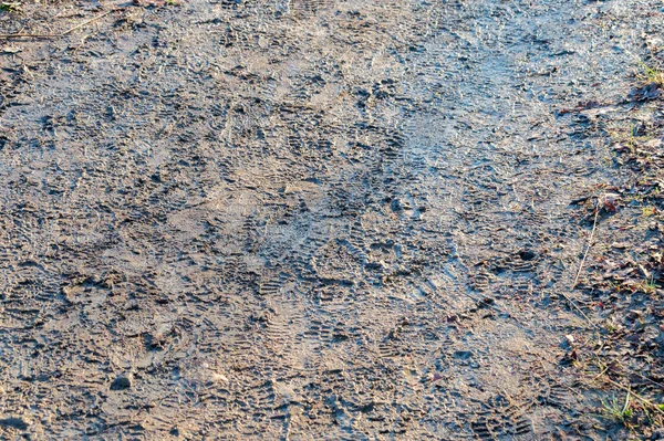 Mud Path Footsteps — Stock Photo, Image