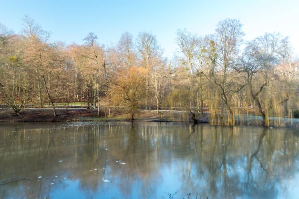 Teich Park Orunia Winter Danzig Polen — Stockfoto