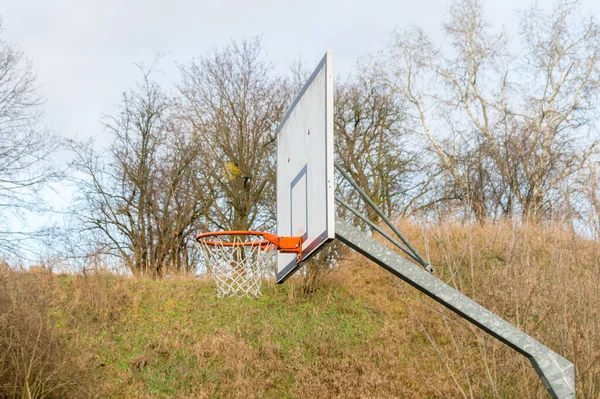 Basketball Hoop Trees Background — Stock Photo, Image