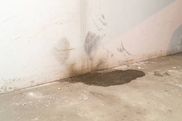 Water Damage Basement Caused Sanitary Drain — Stock Photo, Image